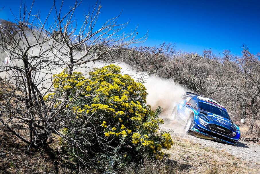 They finished third in Rally Mexico, the team's first podium this season. They finished third in Rally Mexico, the team's first podium this season.